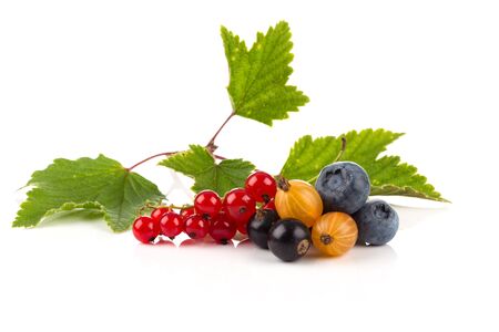 Red currant, blackberry berries isolated on a white backgroundの写真素材