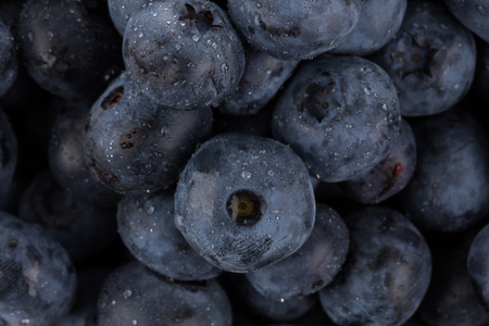 Fresh blueberries with water drops - close upの写真素材