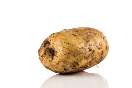 Fresh dirty potato isolated on a white background.の写真素材