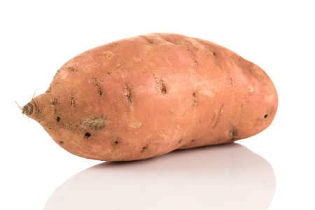 Sweet potato batata on the white background isolatedの写真素材