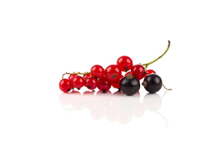 Red currant, blackberry berries isolated on a white backgroundの写真素材