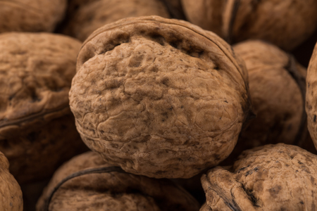 Walnut nut close up photo for a backgroundの写真素材