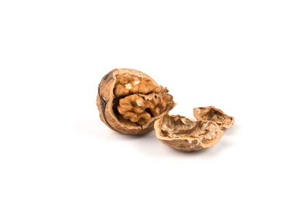 Walnut nut closeup isolated on a white backgroundの写真素材