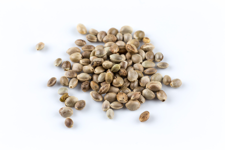 Cannabis Hemp seeds close up macro shot isolated on white backgroundの写真素材