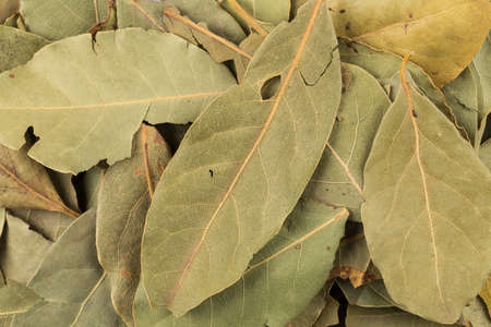photo shot of dry bay leaves backgroundの写真素材