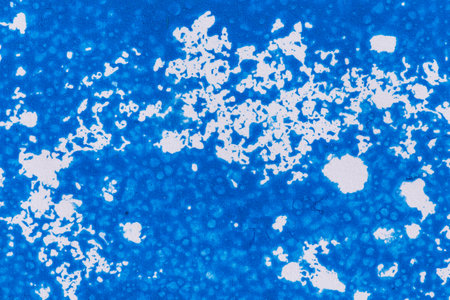 acrylic paint texture background blue color on white paper. Brush stroke. Hand madeの写真素材