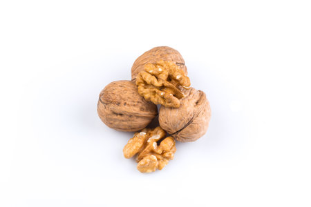 Dried walnut isolated on a white backgroundの写真素材