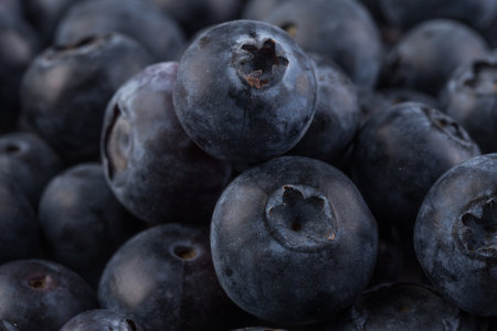 Group of fresh juisy blueberries on stone plate backgroundの写真素材