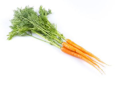 fresh carrots with green leaves isolated on white background. vegetable. foodの写真素材