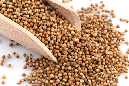 Coriander seeds in wooden scoop on white backgroundの写真素材