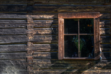 Ancient wooden window with flower in natural rural environmentの写真素材