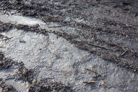 Tractor or Car Mud Dirt Track Background