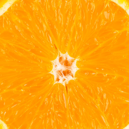 Fresh orange fruit marco close up shot of textureの写真素材