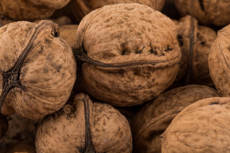 Walnut nut close up photo for a backgroundの写真素材