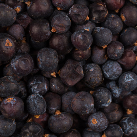 Dried black currant as a background, close upの写真素材