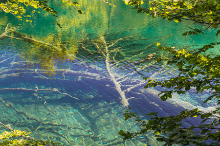 Famous Croatian Plitvice Lakes National Park in Europeの写真素材