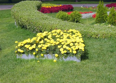 flowerbed in city park at summerの写真素材