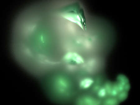 digital fractal