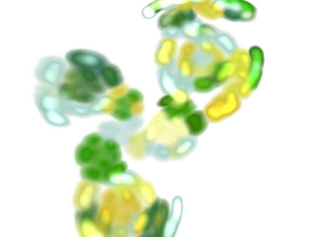 digital fractal on white background