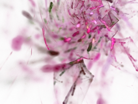 digital fractal on white backgroundの写真素材