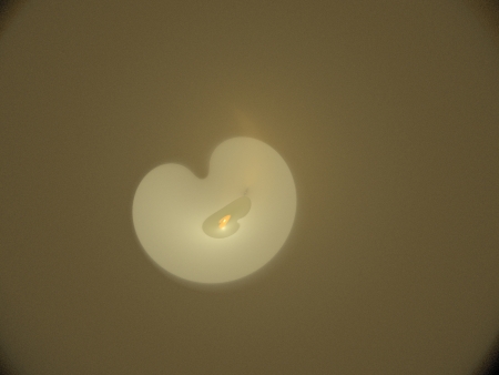 digital fractalの写真素材