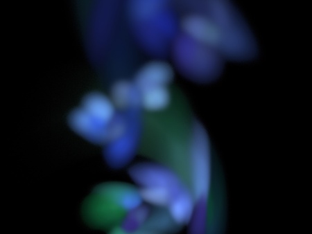 Digital Fractal on Black