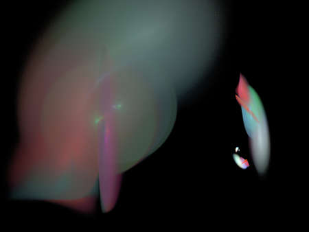 Digital Fractal on Black