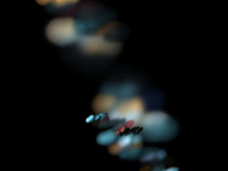 Digital Fractal on Black
