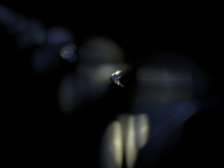 Digital Fractal on Blackの写真素材