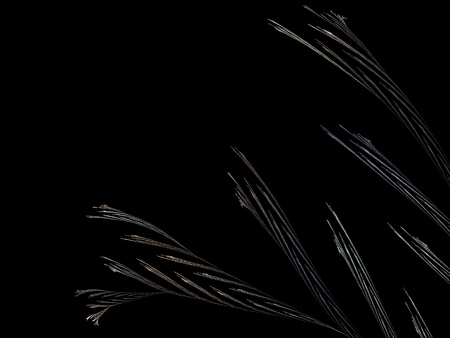 Digital Fractal on Blackの写真素材