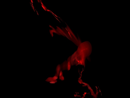 Digital Fractal on Blackの写真素材
