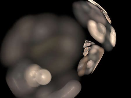 Digital Fractal on Black