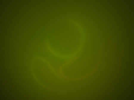 Digital Fractal on Black