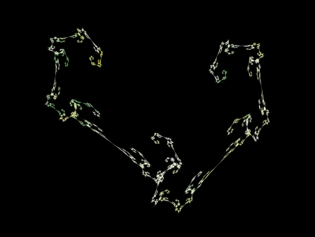 Digital Fractal on Blackの写真素材