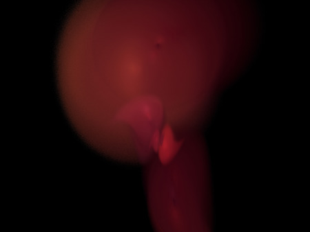 Digital Fractal on Blackの写真素材