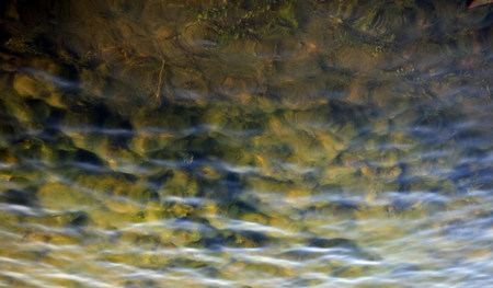 ripple on water at day