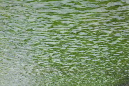 ripple on water at dayの写真素材
