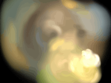 Vector Illustration of digital fractalのイラスト素材