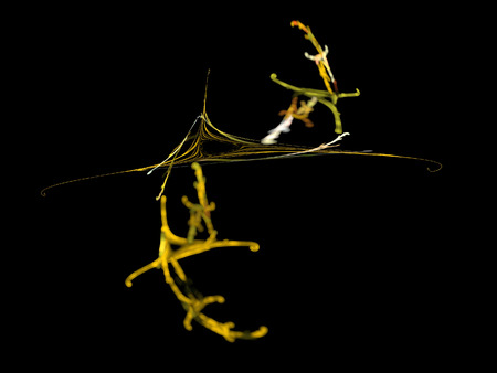 image of one Digital Fractal on Black Color