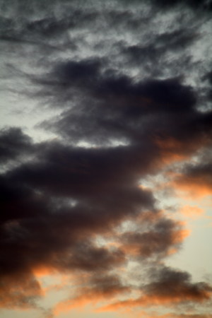 sunset sky at summer
