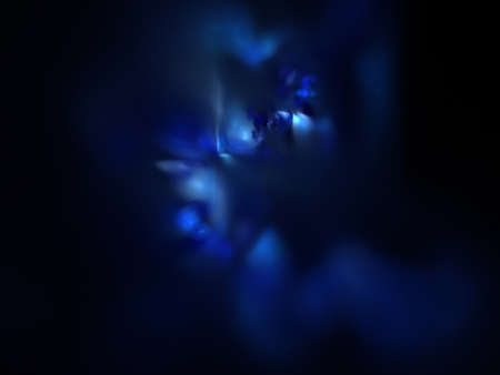 image of one Digital Fractal on Black Color