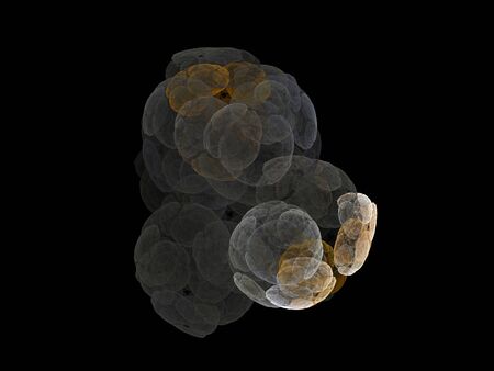 image of one Digital Fractal on Black Colorの写真素材