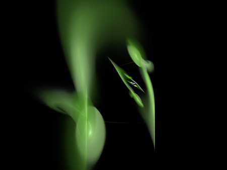 image of one Digital Fractal on Black Colorの写真素材