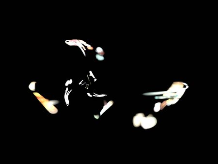 image of one Digital Fractal on Black Colorの写真素材