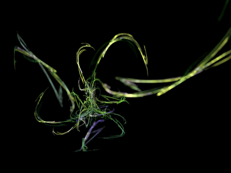 image of one Digital Fractal on Black Colorの写真素材