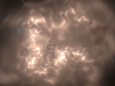 image of one Digital Fractal on Black Color