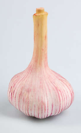 Garlic on green Backgroundの写真素材