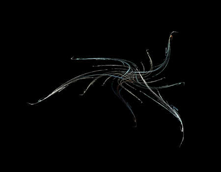 image of one Digital Fractal on Black Color