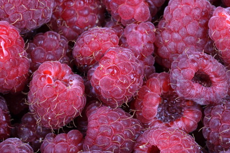 many raspberry at day