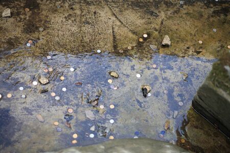 japan garden at dayの写真素材